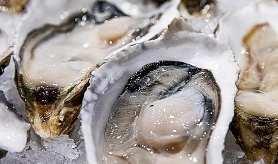 “产业+文化+旅游”蚝业新生态 2023年中国生蚝行业发展现状