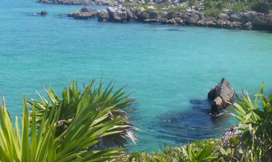 行业有望迎来黄金发展期 中国生态主题公园行业发展现状2023