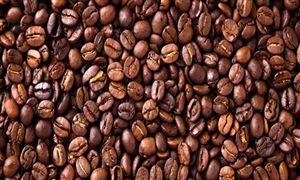 带你看懂咖啡市场 中国咖啡豆行业市场发展深度分析2023