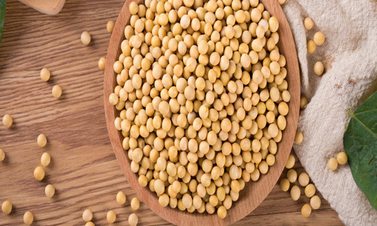 大豆蛋白行业调研 大豆蛋白行业发展前景及投资分析