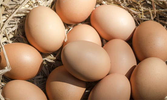 鸡蛋加工行业分析：鸡蛋产品增值潜力尚未充分挖掘 未来市场空间广阔