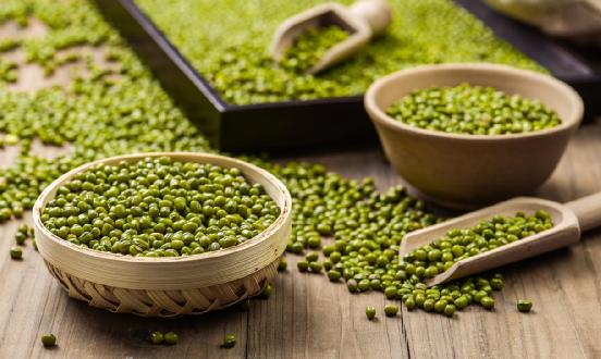 绿豆行业市场分析 2023年上半年绿豆市场回顾