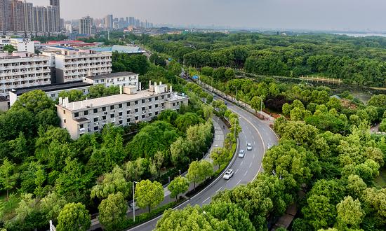 中国林业机械行业市场发展分析