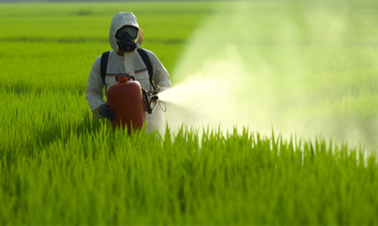 2023环保农药行业市场需求前景及投资潜力分析