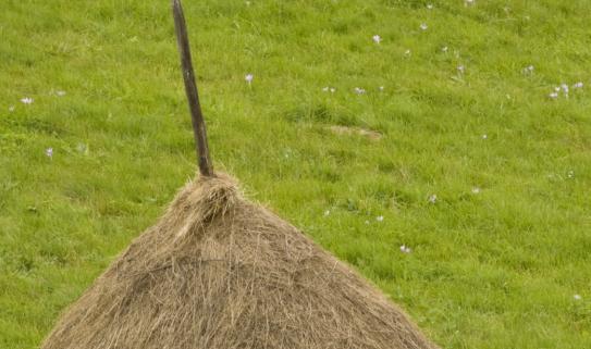 新能源产业将为行业提供广袤增长空间 草酸行业市场调研分析2023