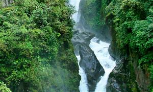 全国生态环境保护大会召开 美丽中国建设进入重要时期 生态主题公园行业发展现状