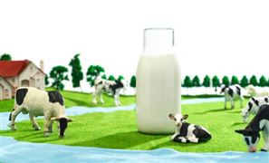 乳业板块持续走强 2023乳业市场发展现状深度分析