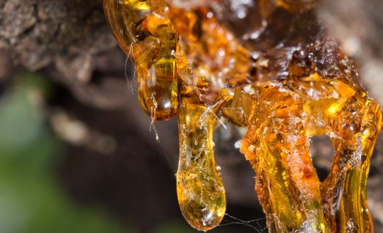 中国不饱和聚酯树脂行业发展现状2023 预计市场规模将达到933.23亿元