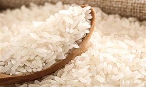 有机大米市场需求不断增加 中国有机大米行业发展现状分析2023