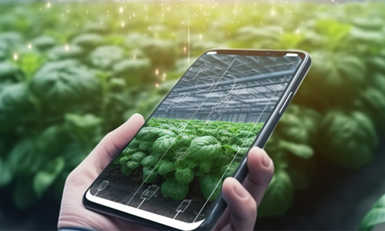 智能化设施农业行业分析：高端设施农业还有500万亩发展空间 有效拉动投资近2万亿元