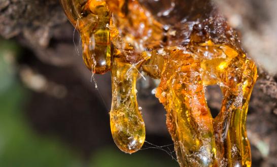 呋喃树脂消费量稳定增长 中国呋喃树脂行业市场调研分析2023