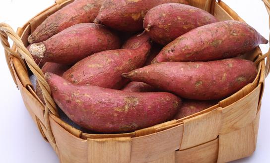 利好政策大力推动红薯行业高质量发展 中国红薯食品行业发展现状分析2023