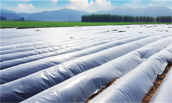 可降解膜行业发展如何 预测2026年我国可降解膜行业产量分析
