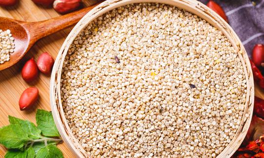 藜麦国际市场需求强劲 发展前景十分广阔 中国藜麦行业发展现状分析2023