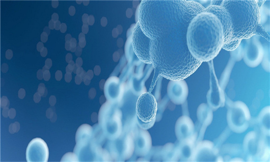 生物工程市场现状分析 生物工程行业发展前景分析