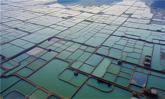 福建水产品出口情况 福建水产品行业发展政策