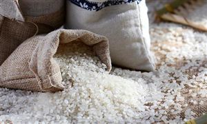 印度大米限制令引发海外恐慌 未来全球供需格局继续偏紧 