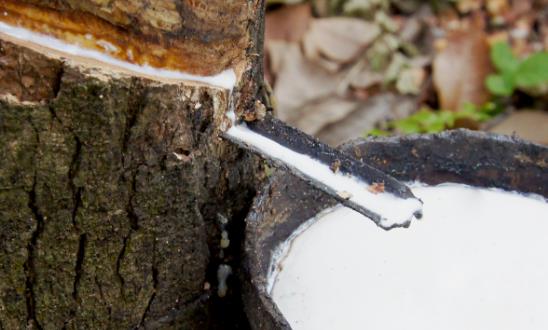 发展中国家天然橡胶需求量呈现增长态势 2023年橡胶市场供需格局分析