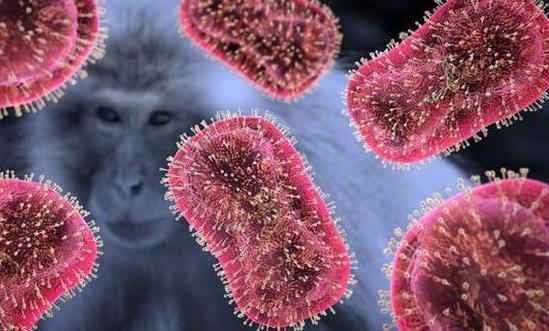 《猴痘防控方案》印发 抗病毒药行业市场发展前景投资