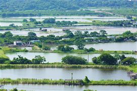 国家水网建设规划纲要 2023国家水网总体格局分析