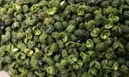 花椒特色产业助力乡村振兴 青花椒行业市场发展前景投资