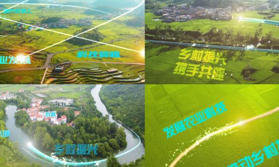 乡村振兴战略发展现状及市场投资分析