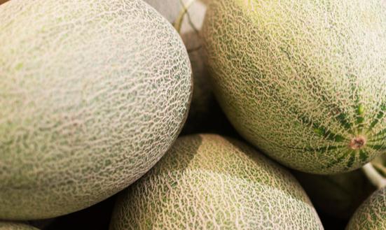 新疆正值哈密瓜收获之际 哈密瓜果脯市场前景分析