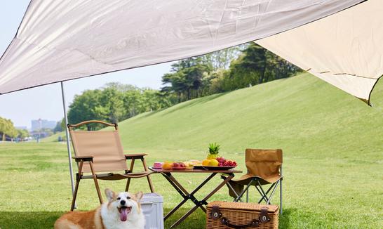 宠物电器将成下一个小家电新蓝海? 中国宠物电器行业发展现状分析2023