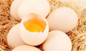 预计三季度鸡蛋市场供应稳中有增 2023年中国鸡蛋行业市场调研