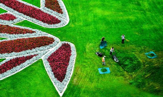 中国园林养护行业现状、前景及发展趋势分析