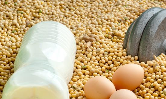 大豆蛋白行业市场现状 大豆蛋白行业发展策略研究