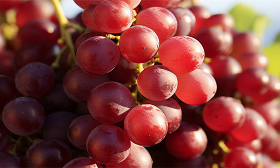 2023红提行业发展现状及市场供需格局分析