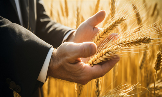 农业投资行业发展趋势及市场现状分析