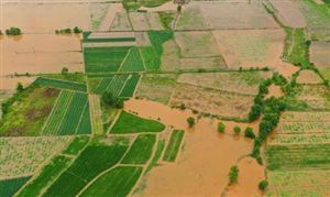 五常大米产地被淹造成巨大损失 农业保险行业发展前景及市场深度研究