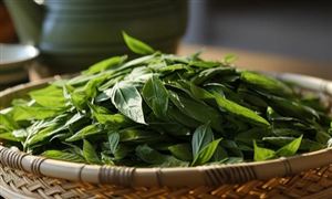 绿茶行业现状分析：未来中国绿茶产业应加强品牌建设