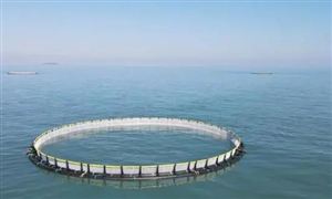 加快培育海洋牧场全产业链 2023海洋牧场行业市场投资及发展趋势