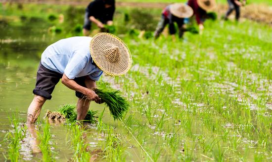 中国农业碳中和技术行业现状分析2023