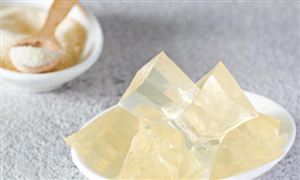 宠物食品市场现状分析：中宠股份上半年实现营业收入17.15亿元