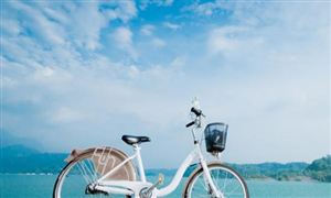 自行车行业现状：我国仍面临关键零部件被“卡脖子”的窘境