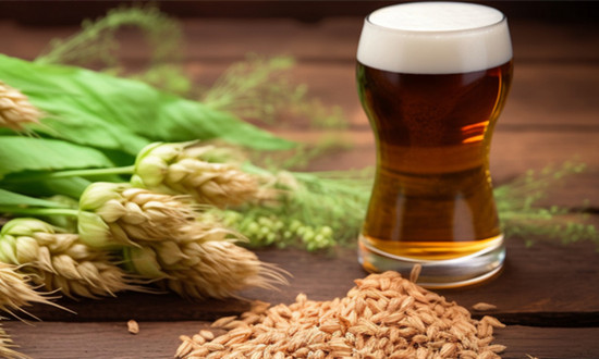 中酒协发布《啤酒小麦》《啤酒小麦芽》团标标准 啤酒大麦种植行业市场深度分析2023
