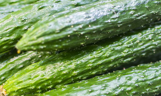 2023年黄瓜行业市场调研及前景趋势分析