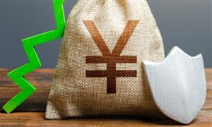 中国担保行业发展前景分析 担保行业涉及的业务领域较为广泛