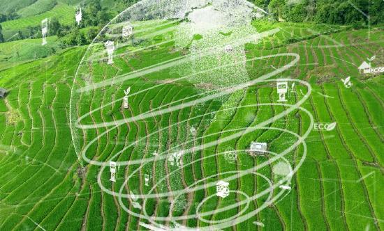 农业数字化行业分析 中国农业数字化行业发展现状分析2023