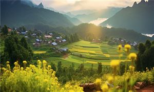 构建现代乡村产业体系 带动乡村振兴全面发展 农事活动与旅游相结合的农业旅游新模式