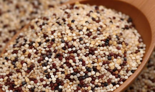 2023年中国藜麦行业市场发展现状分析：未来应用领域将进一步拓展