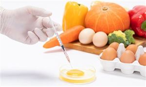 食品安全关乎千家万户 食品安全行业发展现状分析调研2023