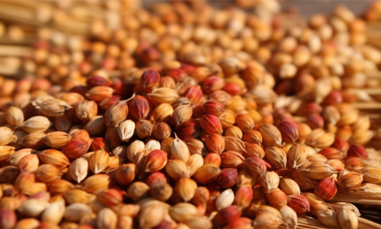 2023植物提取物行业分析：植物提取物在国内外均有巨大的发展空间和市场前景