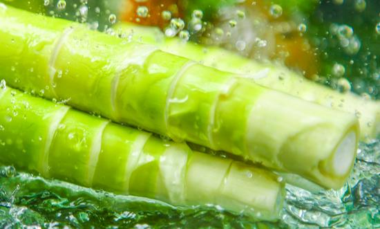 竹笋加工行业分析：未来中国的竹笋产业将继续保持快速发展的趋势