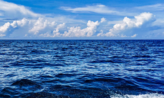 上半年海洋生态修复稳步推进 海洋生态行业市场深度分析