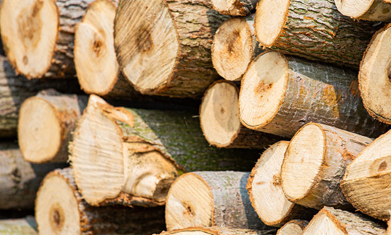 2023防腐木行业发展现状及市场前景趋势分析